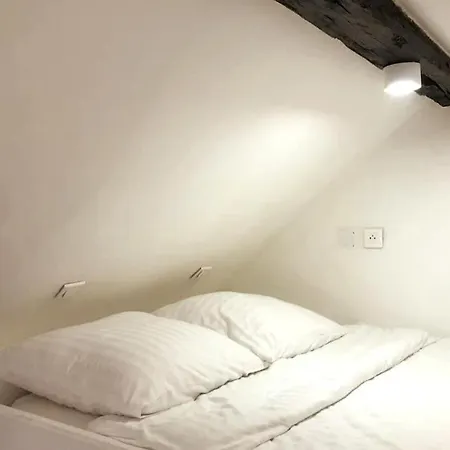 Apartman Spacious In Hyper Center - Smart Tv & Wifi - 4p