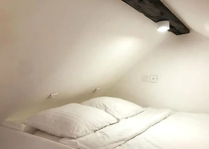 Appartement Spacious In Hyper Center - Smart Tv & Wifi - 4p